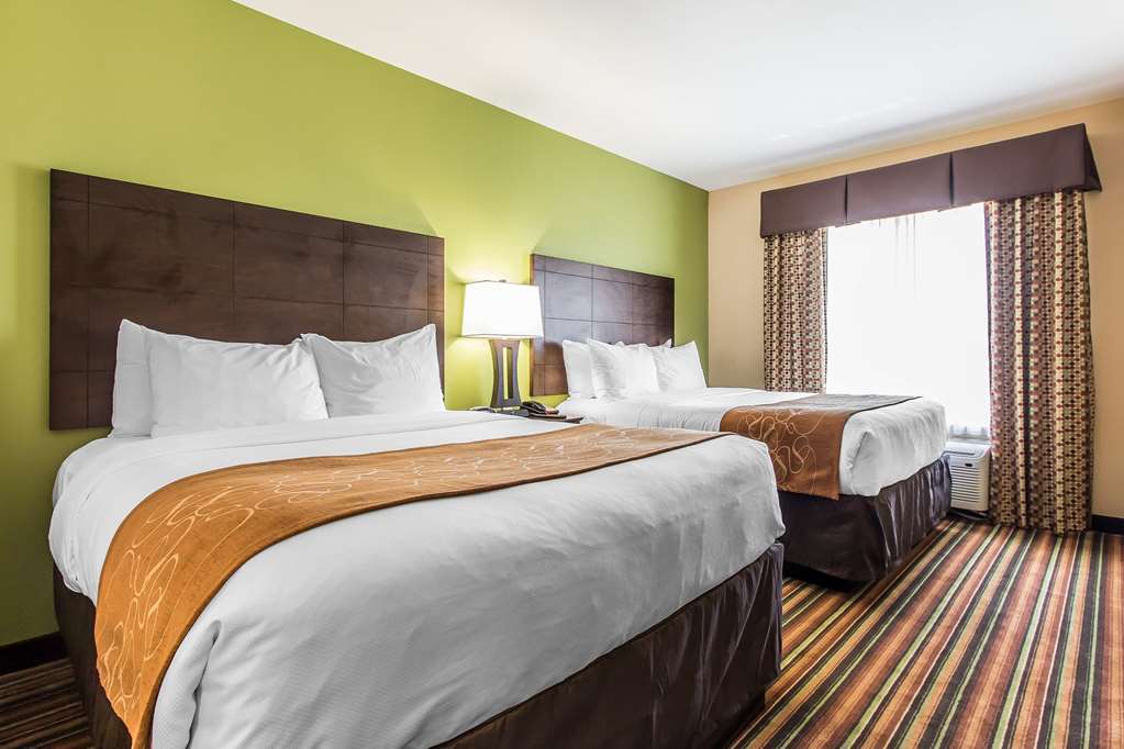 Comfort Suites Jackson I-40 Rum bild